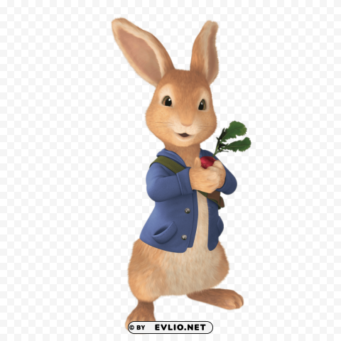 peter rabbit holding radish PNG Isolated Object on Clear Background