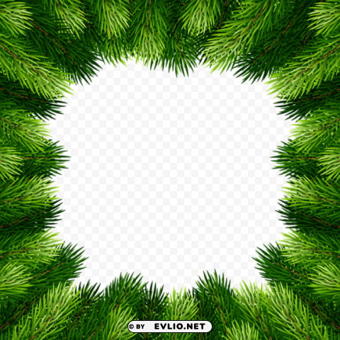 pine branches border frame Isolated Artwork in Transparent PNG Format