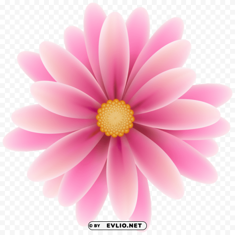 pink flower PNG for mobile apps