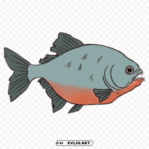 piranha drawing Transparent graphics PNG png images background - Image ID 23d2effb