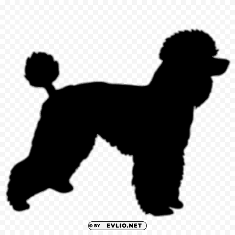 poodle silhouette PNG images with high transparency