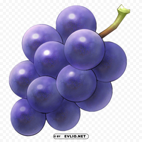 purple grapes PNG free transparent