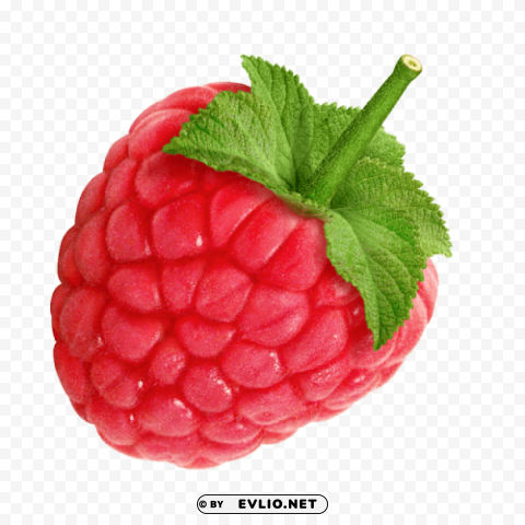 raspberry Clean Background Isolated PNG Graphic