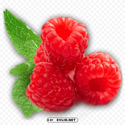 raspberry Clean Background Isolated PNG Graphic Detail