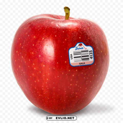 red apple Isolated Illustration in HighQuality Transparent PNG