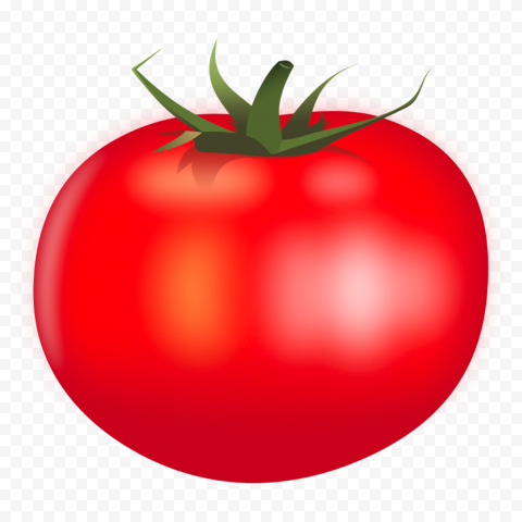 Red Tomato Vegetable Illustration Background PNG Image with Transparent Cutout
