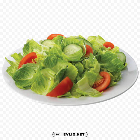 salad Transparent Background PNG Isolated Character