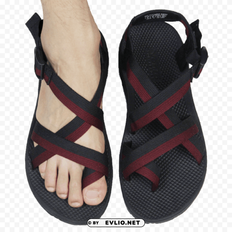 sandal PNG Object Isolated with Transparency