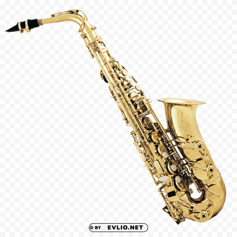 saxophone Isolated Character on Transparent Background PNG