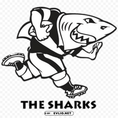 sharks rugby logo Transparent design PNG