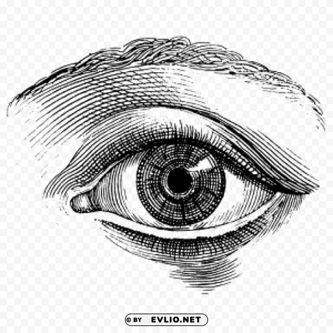 single eye vintage drawing Transparent PNG image