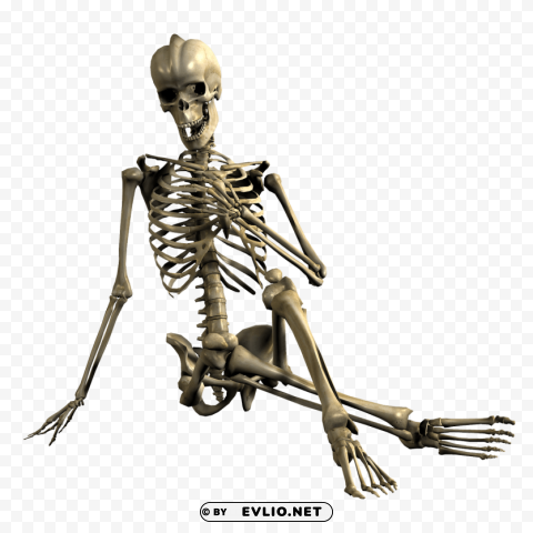 skeleton hand in front of chest Isolated Item with Transparent PNG Background