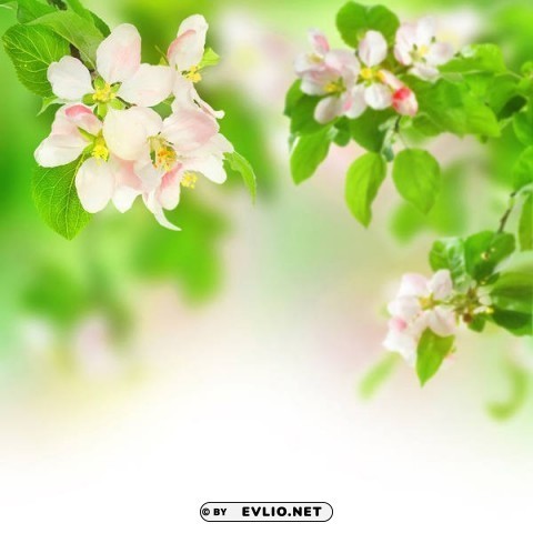 spring Clear PNG graphics