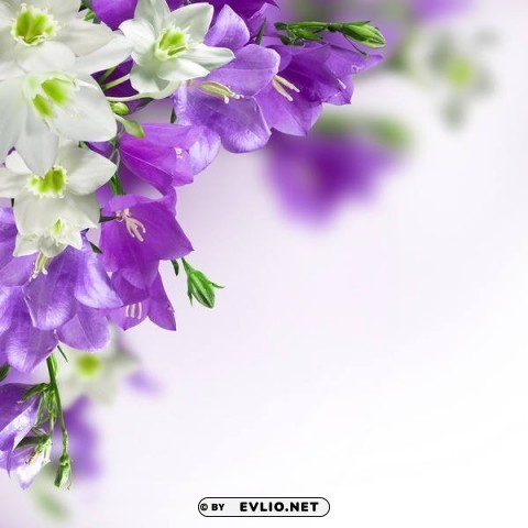 springwith white and purple flowers Free PNG images with transparent background