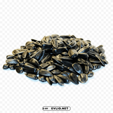 sunflower seeds PNG clipart with transparency PNG images with transparent backgrounds - Image ID 7875efca