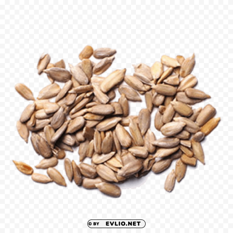 sunflower seeds PNG cutout PNG images with transparent backgrounds - Image ID 0e6cb544
