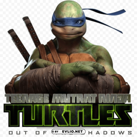 teenage mutant ninja turtle's Transparent Cutout PNG Isolated Element