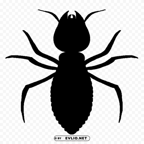 termite Free PNG images with alpha transparency