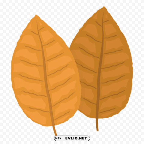 tobacco Transparent Background Isolated PNG Design clipart png photo - c8b9da59