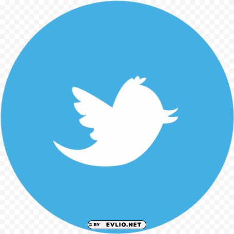 transparent background twitter logo PNG for mobile apps