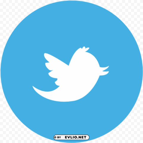 Transparent Background Twitter Logo PNG For Mobile Apps