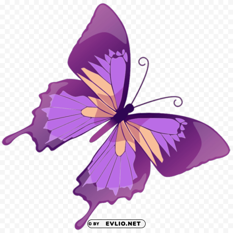 transparent purple butterfly PNG images with alpha transparency bulk clipart png photo - 944db495