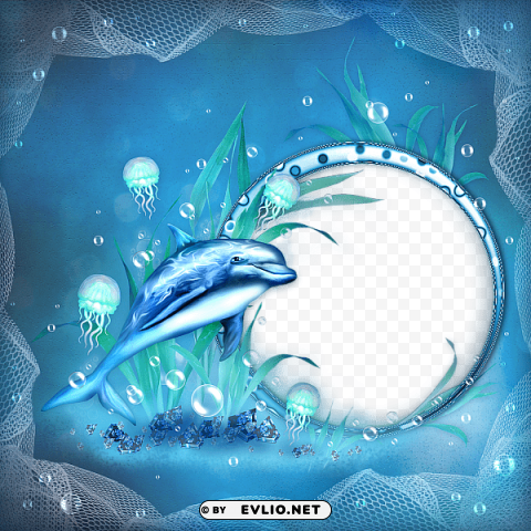  sea frame with dolphin Transparent PNG Isolated Illustration