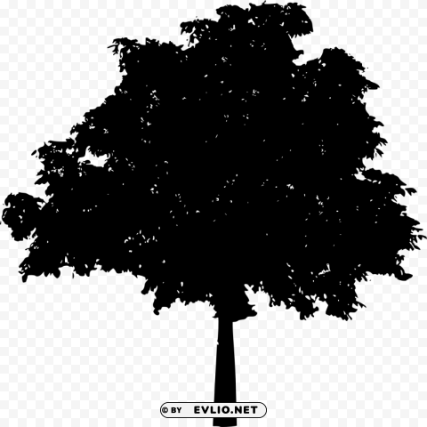 tree silhouette Isolated Subject in Clear Transparent PNG