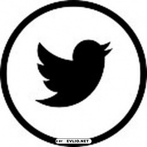 twitter PNG images for advertising png - Free PNG Images ID b1a9516b
