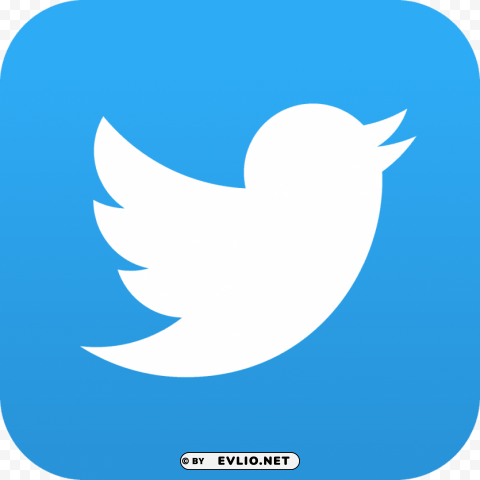 twitter logo Transparent Background Isolated PNG Figure