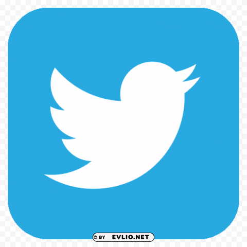 twitter logo PNG Image with Transparent Isolated Design