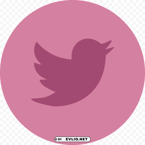 twitter pink logo PNG for presentations