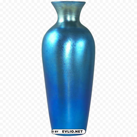 vase Transparent PNG Isolation of Item
