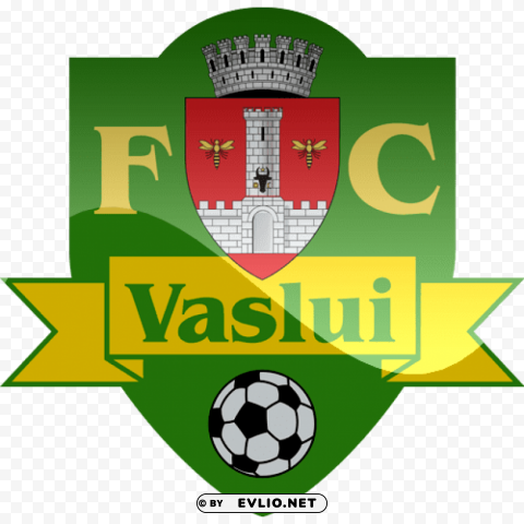 vaslui logo PNG images for editing