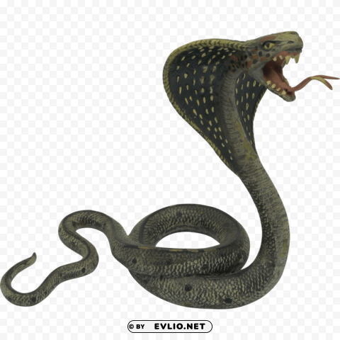 vipers s Transparent Background Isolated PNG Item