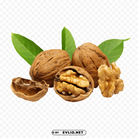 walnut Isolated Subject in Transparent PNG Format