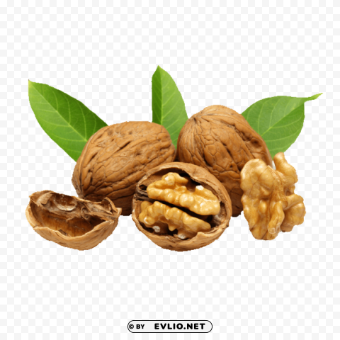 Walnut Isolated Subject In Transparent PNG Format