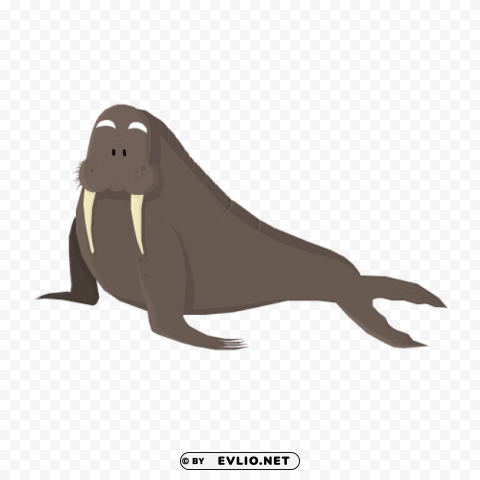 walrus Clear PNG pictures broad bulk