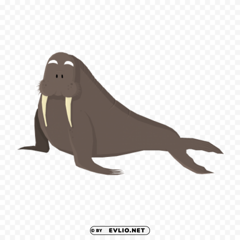 Walrus Clear PNG Pictures Broad Bulk