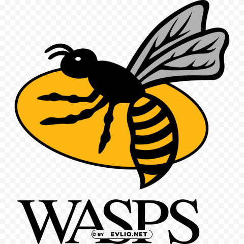 wasps rugby logo PNG Image with Transparent Isolation