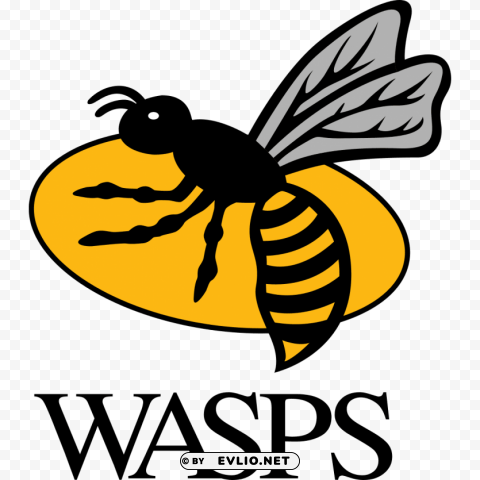 Wasps Rugby Logo PNG Image With Transparent Isolation