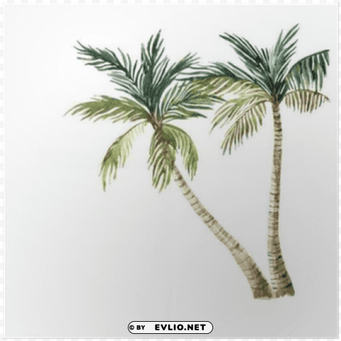 watercolor palm tree High-resolution transparent PNG images assortment