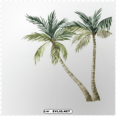 Watercolor Palm Tree High-resolution Transparent PNG Images Assortment