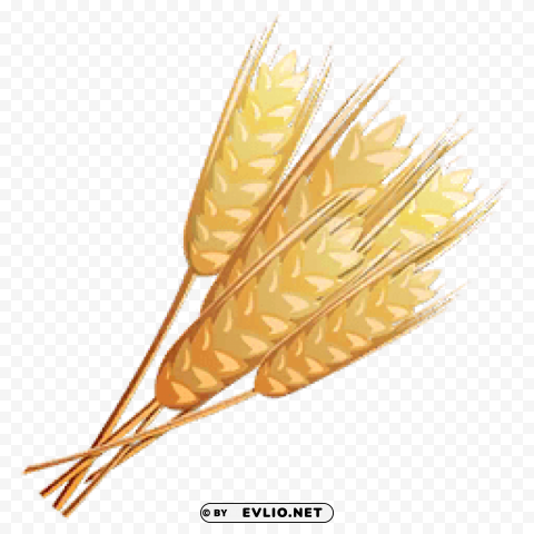 Wheat PNG Graphic Isolated on Transparent Background