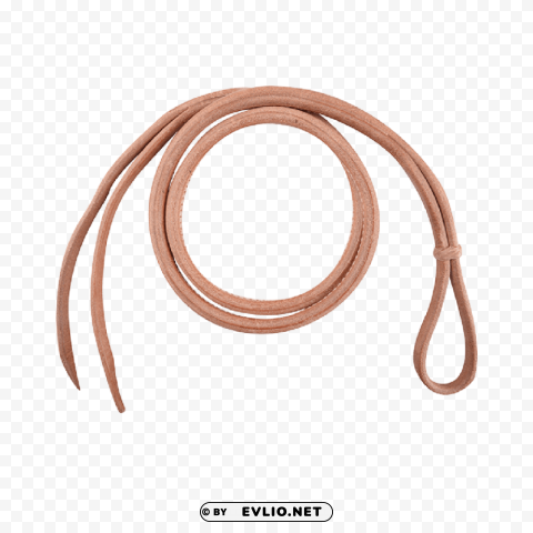 whip HighResolution Transparent PNG Isolation