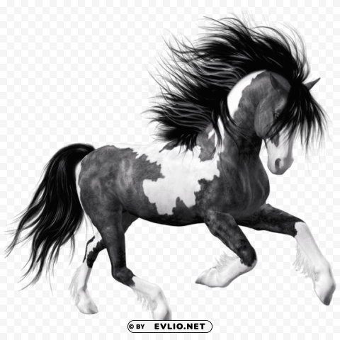 white black horsepicture PNG for overlays