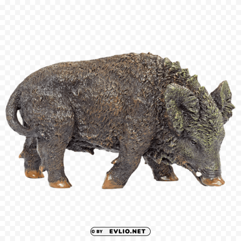 wild boar Free download PNG images with alpha channel diversity