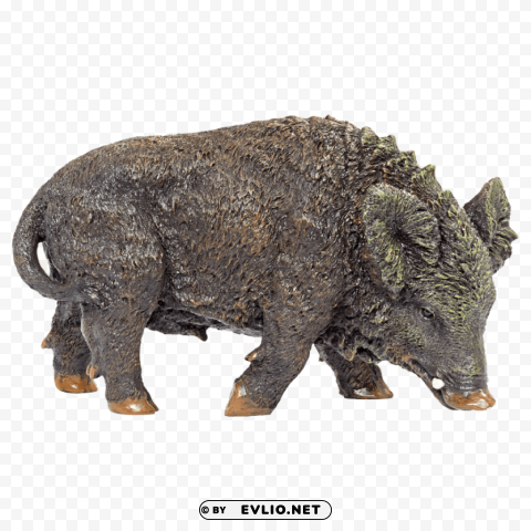 Wild Boar Free Download PNG Images With Alpha Channel Diversity