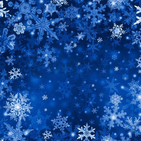 winter texture Clean Background Isolated PNG Character