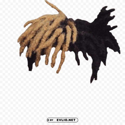 xxxtentacion hair Isolated Subject in Transparent PNG Format